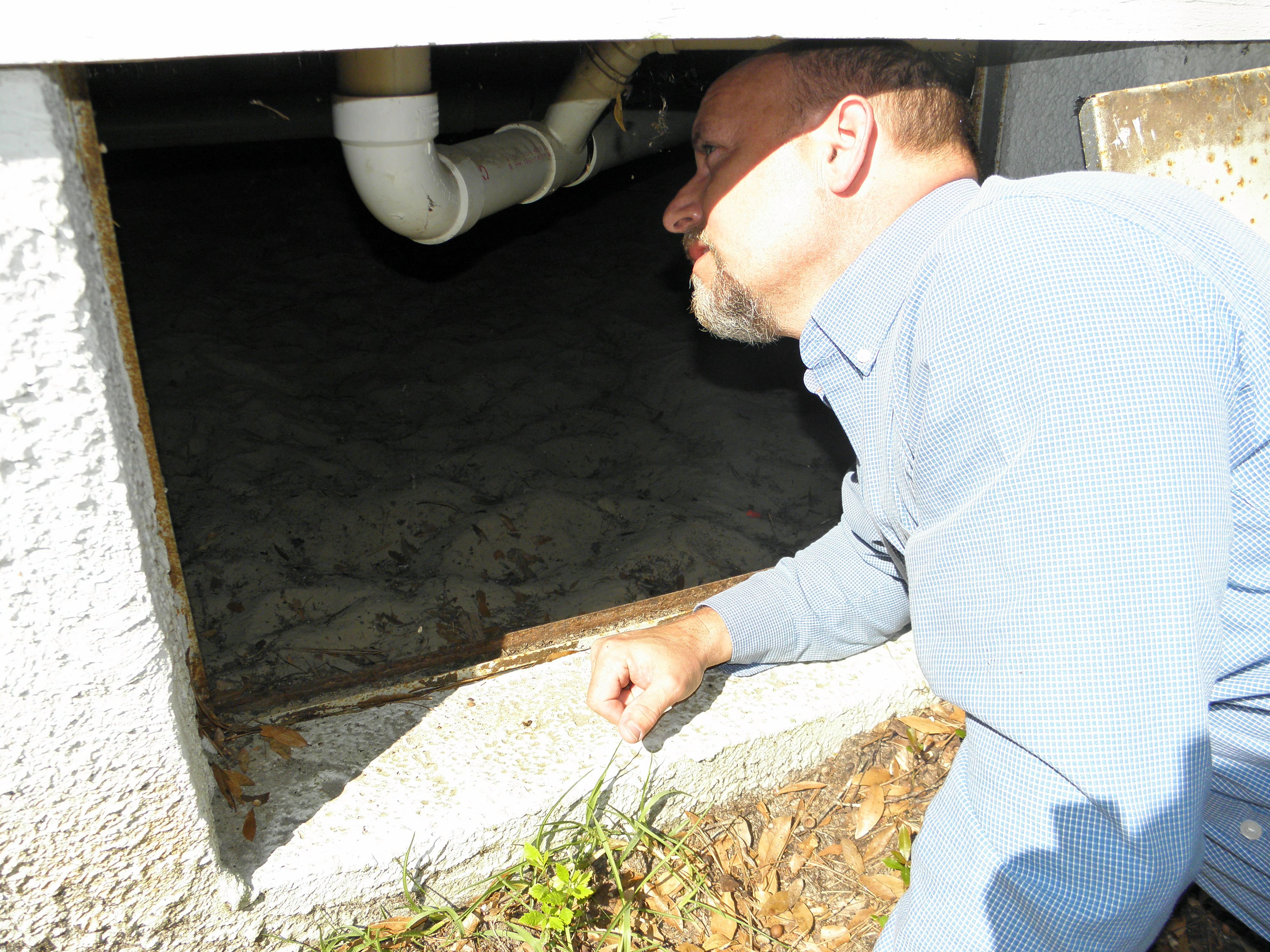 Quarterly Pest Management Program